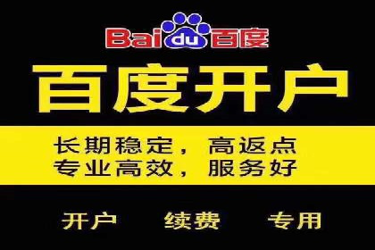 SEM托管服务案例：优化策略与效果展示