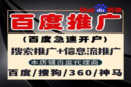 竞价广告的胜利者：某公司如何借助竞价推广公司实现业绩突破